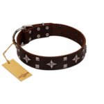 (image for) "Trendy Candy" FDT Artisan Brown Leather American Bulldog Collar Adorned with Stars and Tiny Squares