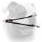 (image for) Nylon 2-Way Coupler Leash for American Bulldogs