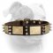 (image for) Gorgeous War Dog Leather Dog Collar with brass plates+3 spikes