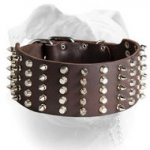 (image for) Leather 3 inch Spiked and Studded American Bulldog collar