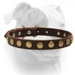 (image for) Brass Drops Decorative Leather Collar