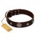 (image for) "Magic Stones" FDT Artisan Brown Leather American Bulldog Collar with Chrome Plated Brooches and Studs