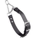 (image for) Biothane Martingale Collar with Metal Buckle_14