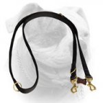 (image for) Nylon police lead 3/4 inch for tracking with American Bulldog
