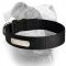 (image for) Best 2 Ply Nylon Dog Collar w/h name tag/Metal Buckle