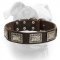 (image for) Gorgeous walking leather American Bulldog collar