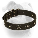 (image for) Fashionable Leather American Bulldog Collar for Pleasant Walks