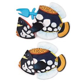 (image for) 8" Tropical Crinkle/Bone Emperor Angelfish