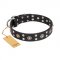 (image for) "Refined Essence" FDT Artisan Black Leather American Bulldog Collar with Silvery Studs
