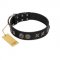 (image for) "Century Silver" Designer Handmade FDT Artisan Black Leather American Bulldog Collar