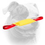 (image for) Training American Bulldog bite tug of French Linen with two handles