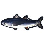(image for) 12" Tropical Trout