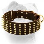 (image for) 3 inch extra wide spiked leather American Bulldog collar