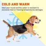 (image for) Biothane Waterproof Collar with Quick Release Buckle_10