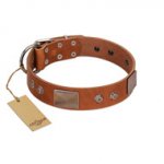 (image for) "Great Obelisk" Handcrafted FDT Artisan Tan Leather American Bulldog Collar with Large Plates and Pyramids