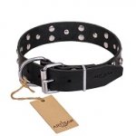 (image for) FDT Artisan 'Mystic Skulls' Decorated Leather American Bulldog Dog Collar with Skulls and Studs 1 1/2 inch (40 mm)