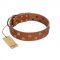 (image for) "Ancient Symbol" Trendy FDT Artisan Tan Leather American Bulldog Collar with Silver- and Gold-Like Studs