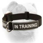 (image for) American Bulldog Identity Collar - Nylon Collar With Patches