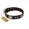 (image for) "Satin Beauts" FDT Artisan Brown Leather American Bulldog Collar with Stars and Plates