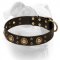 (image for) Leather American Bulldog Collar With Bright Mix of Brass Decorations