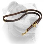 (image for) Leather Police Agitation Lead for American Bulldog