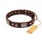 (image for) "Pirate Skull" FDT Artisan Brown Leather American Bulldog Collar with Old Silver Look Plates and Skulls