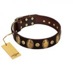 (image for) "Retro Pusle" FDT Artisan Brown Leather American Bulldog Collar with Old Bronze-like Studs and Oval Brooches