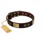 (image for) "Bow-Wow Effect" FDT Artisan Brown Leather American Bulldog Collar with Plates and Ornate Studs