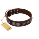 (image for) "Silver Sunset" Designer Handmade FDT Artisan Brown Leather American Bulldog Collar