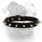 (image for) Elegant spiked leather American Bulldog collar