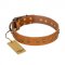 (image for) "Autumn Story" FDT Artisan Leather American Bulldog Collar with Old Bronze Look Studs