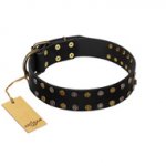 (image for) "Star Way" FDT Artisan Black Leather American Bulldog Collar with Bronze-like and Silver-like Star Studs