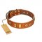 (image for) "Egyptian Script" FDT Artisan Tan Leather American Bulldog Collar with Plates and Small Studs