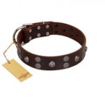 (image for) "Skull Valley" Handcrafted FDT Artisan Brown Leather American Bulldog Collar with Skulls