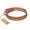 (image for) "Daily Chic" FDT Artisan Tan Leather American Bulldog Collar with Decorations