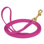 (image for) Biothane Leash 33 Ft w/ Brass Hardware_1