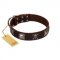 (image for) "Nut-Brown Finery" Embellished FDT Artisan Brown Leather American Bulldog Collar with Chrome Plated Crossbones and Plates