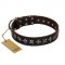 (image for) "Stars of Glory" FDT Artisan Brown Leather American Bulldog Collar for Comfortable Walking