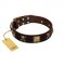(image for) "Crazy Pirate" FDT Artisan Brown Leather American Bulldog Collar with Old Bronze-Plated Skulls and Plates