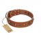 (image for) "Silver Age" Fashionable FDT Artisan Tan Leather American Bulldog Collar with Silver-Like Studs