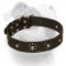 (image for) Fashionable Leather American Bulldog Collar for Pleasant Walks