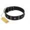 (image for) "Skull Art" Designer Handmade FDT Artisan Black Leather American Bulldog Collar with Skulls