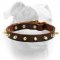 (image for) Handmade luxury leather American Bulldog collar with 1 row of spikes