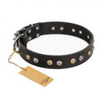 (image for) "Jewelry Peas" FDT Artisan Decorated Black Leather American Bulldog Collar