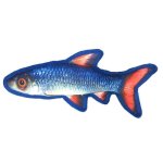 (image for) 12" Tropical Shiner