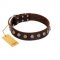 (image for) "Gape Buster" FDT Artisan Brown Leather American Bulldog Collar with One Row of Studs