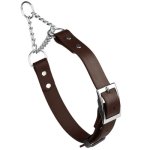 (image for) Biothane Martingale Collar with Metal Buckle_16