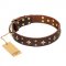 (image for) 'High Fashion' FDT Artisan Embellished Brown Leather American Bulldog Collar