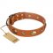 (image for) "Visual Magic" FDT Artisan Tan Leather American Bulldog Collar for Daily Activities