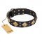 (image for) "Fancy-Schmancy" FDT Artisan Studded Leather American Bulldog Collar